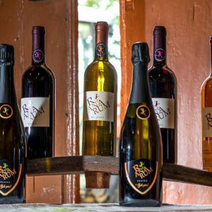 Majhna družinska kmetija se ukvarja s pridelovanjem domačih vin. Že njihovi predniki so v okolici vasi Duplje zasadili vinograde, ki jih današnje generacije skrbno negujejo, da vam lahko ponudijo z ljubeznijo pridelana vina Ranarum.